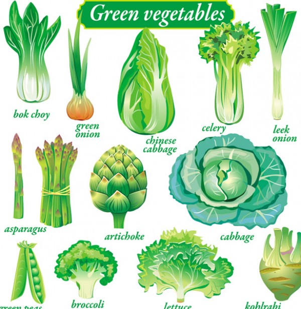 vector pea onion garlic cabbage broccoli 