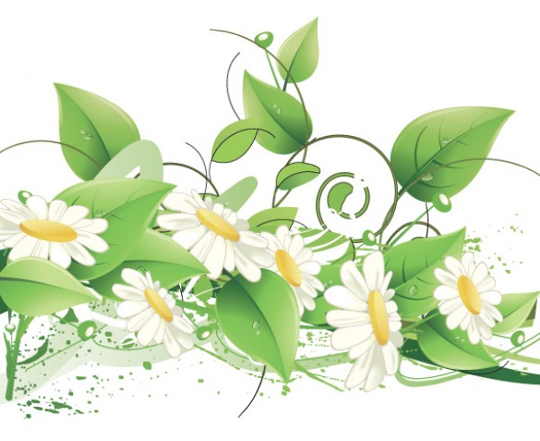 web Vectors vector graphic vector unique ultimate quality Photoshop pack original new nature modern leaves leaf illustrator illustration high quality fresh free vectors free download free floral ecology eco download design daisy daisies creative background AI 