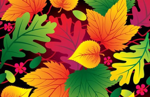 Vectors vector graphic vector unique quality Photoshop pattern pack original orange modern leaves leaf illustrator illustration high quality green fresh free vectors free download free Fall download creative background AI 