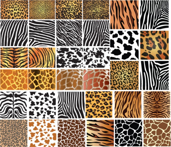 zebra web Vectors vector graphic vector unique ultimate tiger skins skin quality Photoshop pattern pack original new modern illustrator illustration high quality fresh free vectors free download free download design creative cheetah background animal AI 