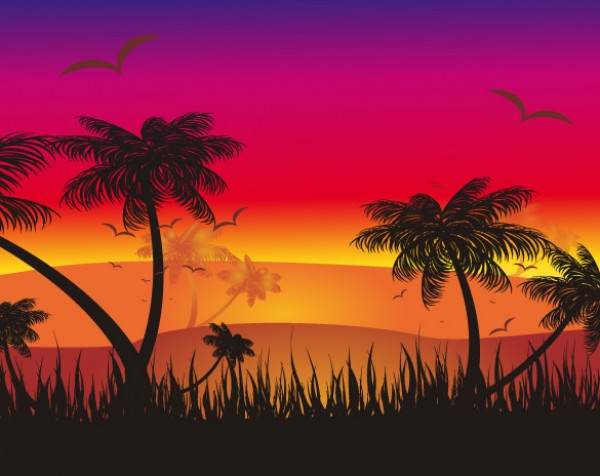 web Vectors vector graphic vector unique ultimate tropics tropical sunset sun silhouette red quality Photoshop palm tree pack original orange new modern illustrator illustration high quality fresh free vectors free download free download design creative bird background AI 
