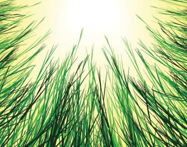 web Vectors vector graphic vector unique ultimate sunshine sun summer spring quality Photoshop pack original new nature modern meadow illustrator illustration high quality grasses grass fresh free vectors free download free field download design creative background AI  
