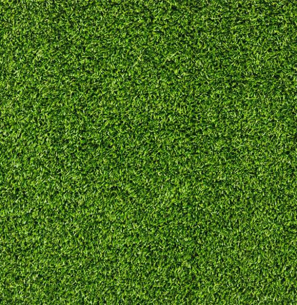 web Vectors vector graphic vector unique ultimate texture quality Photoshop pack original new modern illustrator illustration high quality green grass fresh free vectors free download free download design creative background AI 