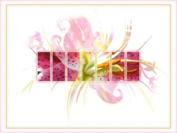 wallpaper vector unique stylish quality pink original orchid modern illustrator high quality graphic free download free flower floral fantasy download creative background abstract 
