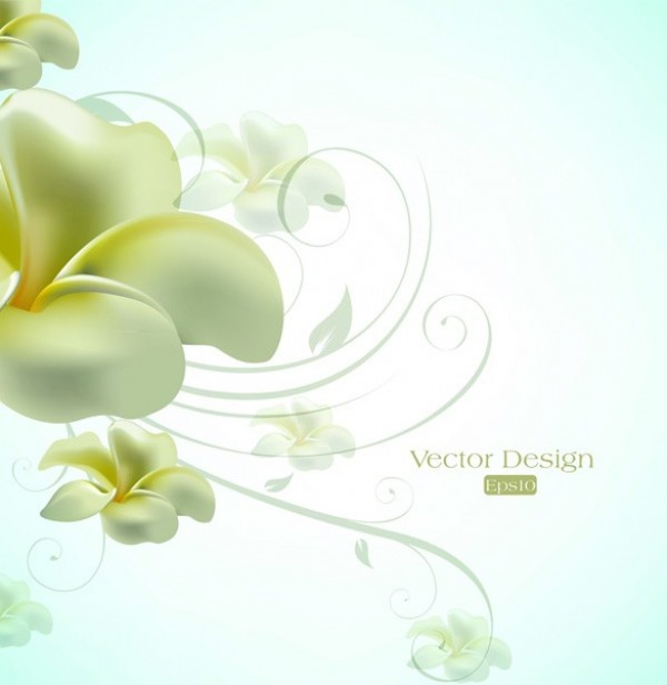 web velvet vector unique swirls stylish soft quality petals original new lily illustrator high quality graphic fresh free download free flower floral download design delicate flower creative background abstract 