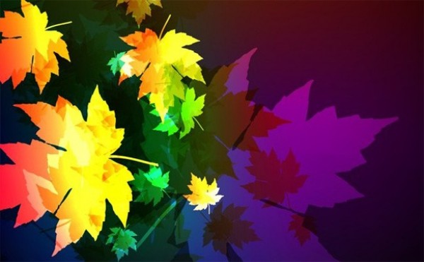web vector unique stylish quality original maple leaves maple leaf illustrator high quality graphic fresh free download free download design creative colorful background autumn 