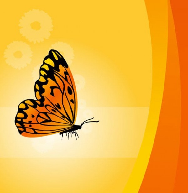 yellow web vector unique sunny stylish quality original orange new illustrator high quality graphic fresh free download free floral download design creative butterfly bright background 