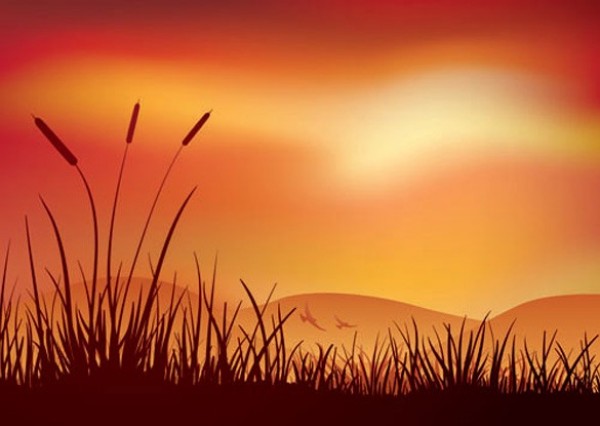 vector unique sunset sun stylish silhouette quality original orange landscape illustrator high quality grasses graphic free download free download creative background 