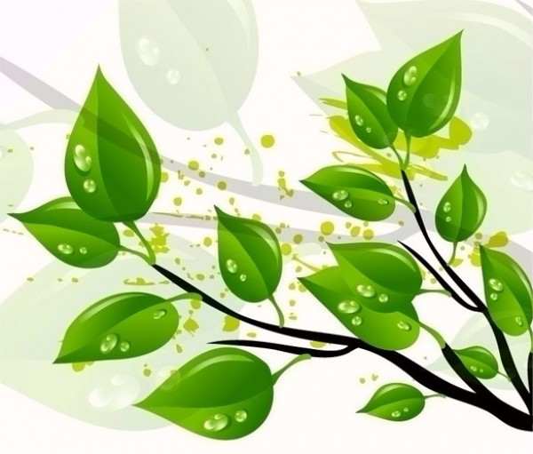 web water drops vector unique tree stylish quality original nature leaves leaf illustrator high quality green graphic fresh free download free download dewdrops design creative branch background 