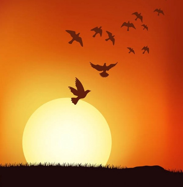 web vector unique ui elements sunset sun stylish silhouette quality original new interface illustrator high quality hi-res HD graphic fresh free download free elements download detailed design creative birds bird silhouette background 