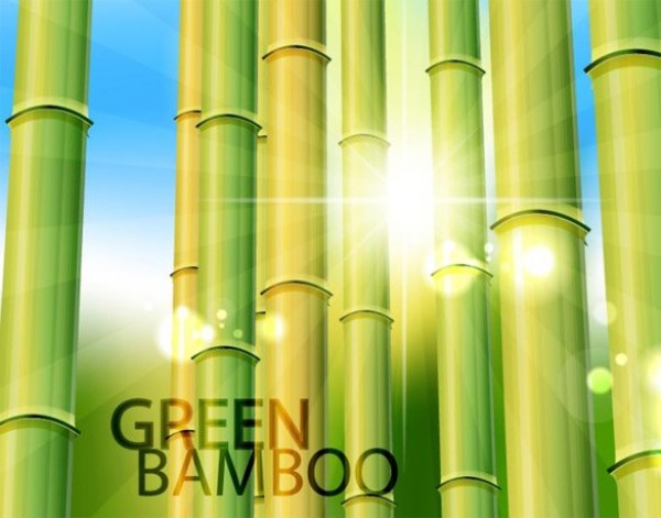 web vector unique stylish skies quality original new illustrator high quality green bamboo green graphic fresh free download free download design creative blue bamboo forest bamboo background 