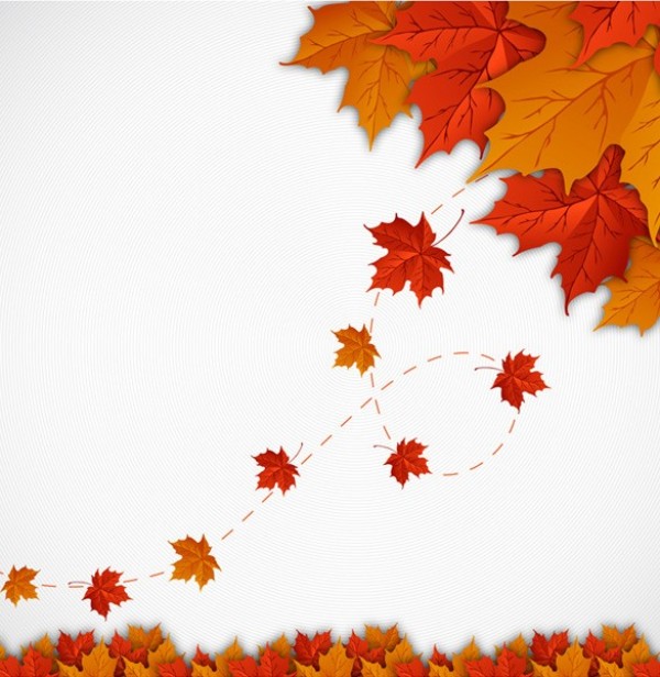 web vector unique ui elements stylish red quality original orange new maple leaves illustrator high quality hi-res HD graphic fresh free download free EPS download design creative colorful background autumn leaves 