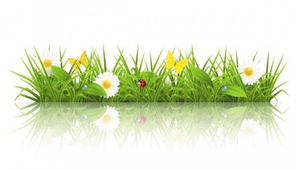 web vector unique stylish spring reflection quality original new ladybug illustrator high quality grass graphic fresh free download free EPS download design daisies creative butterflies background 
