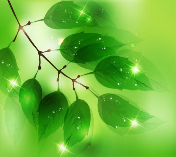 web vector unique stylish quality original nature light leaves leaf illustrator high quality green graphic glowing fresh free download free EPS drops download dewdrops dew design creative branch background 