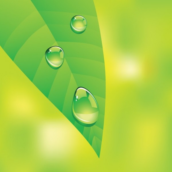 web waterdrops water vector unique ui elements stylish spring quality original new nature leaf interface illustrator high quality hi-res HD green graphic fresh free download free elements eco drops download dewdrops dew detailed design creative 