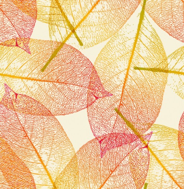 web vector unique stylish quality original orange new leaves illustrator high quality graphic fresh free download free EPS download design delicate creative colorful background autumn leaves abstract 