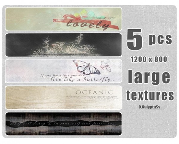 web unique ui elements ui textures stylish quality original ocean new modern jpg interface hi-res HD grunge fresh free download free floral elements download detailed design creative clean butterfly background 