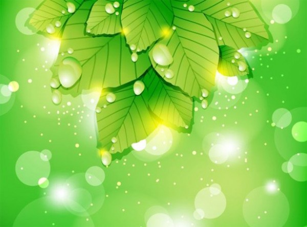 web water drops vector unique stylish spring quality original nature light leaves illustrator high quality green graphic glowing fresh free download free ecology eco download dewdrops design creative background 