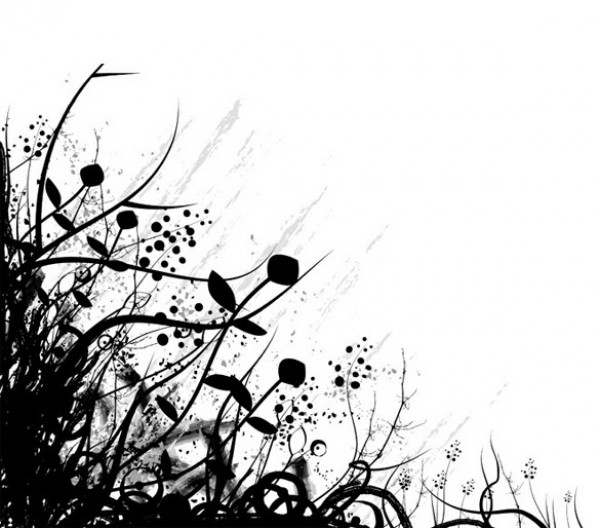 web vector unique ui elements stylish silhouette quality plants original organic new nature natural interface illustrator high quality hi-res HD grunge grasses graphic fresh free download free foliage EPS elements download detailed design creative background abstract 