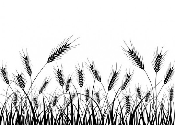wheat stalks wheat web vector unique ui elements stylish silhouette quality original new interface illustrator high quality hi-res HD grasses grass graphic grain fresh free download free EPS elements ears download detailed design creative background 