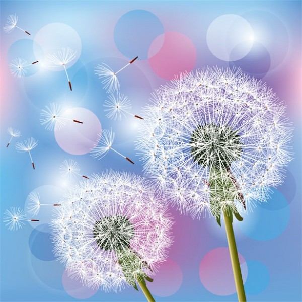 web vector unique umbrella seeds stylish spring quality original illustrator high quality graphic fresh free download free floating seeds download design dandelion seeds dandelion creative circles bubble bright blue background abstract 