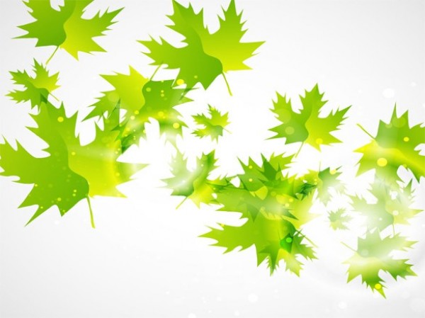 web vector unique sunlight sun stylish quality PDF original new maple leaves maple light leaves leaf illustrator high quality green graphic glowing fresh free download free download design creative background AI 