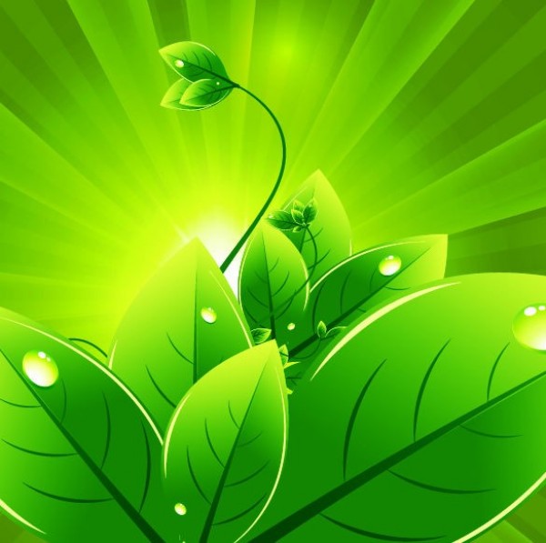 web vector unique ui elements stylish rays radiant radial quality plant original organic new nature light rays light leaves interface illustrator high quality hi-res HD green graphic fresh free download free EPS elements eco drops download dewdrops detailed design creative background abstract 