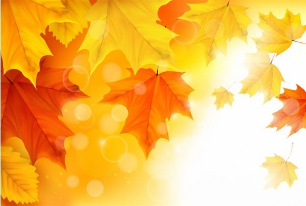 yellow web vector unique ui elements sunny sunlit stylish quality original orange new maple leaves maple leaves interface illustrator high quality hi-res HD graphic glowing fresh free download free EPS elements download detailed design creative background autumn leaves autumn 