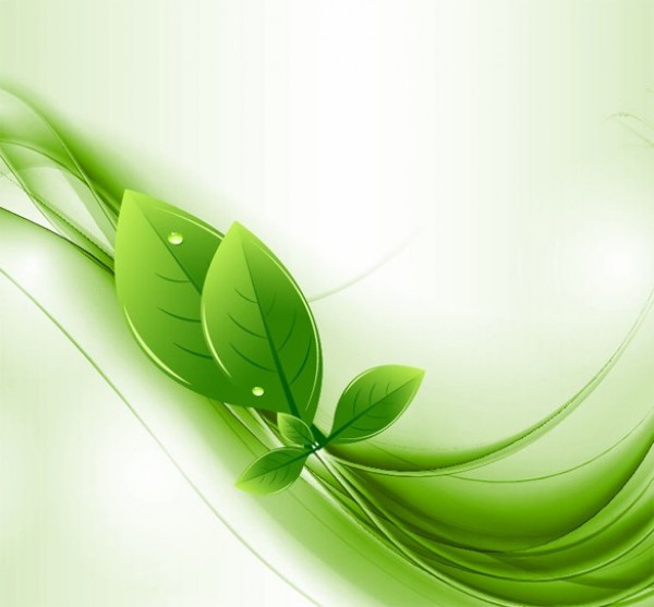 web waves vector unique ui elements stylish quality original new nature leaves interface illustrator high quality hi-res HD green graphic fresh free download free EPS elements ecology eco earth download detailed design creative background abstract 