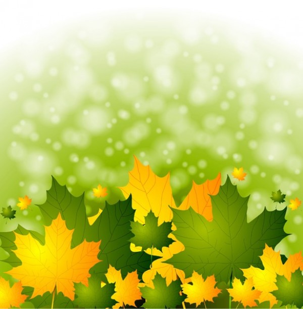 web vector unique ui elements stylish quality original orange new nature maple leaves lights interface illustrator high quality hi-res HD green graphic fresh free download free eps. bokeh elements download detailed design creative colorful blurred blur background autumn leaves autumn AI abstract 