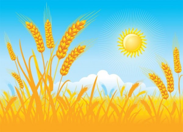 wheat field wheat web vector unique ui elements sunshine sunny sun stylish stalk of wheat quality original new interface illustrator high quality hi-res HD harvest graphic fresh free download free farm EPS elements download detailed design crop creative background 