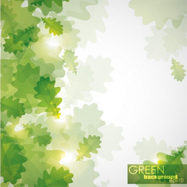 web vector unique ui elements transparent sunlight sun stylish quality original new nature light leaves background leaves leaf interface illustrator high quality hi-res HD green graphic glowing glow fresh free download free frame foggy EPS elements download detailed design creative background 