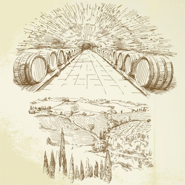wooden barrels wine barrels wine web vineyard vector unique ui elements stylish quality original new interface illustrator high quality hi-res HD hand painted hand drawn graphic fresh free download free EPS elements drawing download detailed design creative countryside card background 