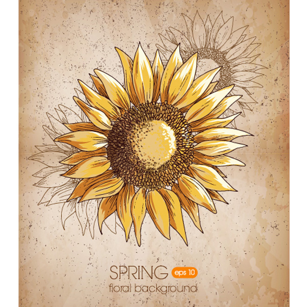 yellow web vector unique ui elements sunflower stylish sketched seeds quality painted original new interface illustrator high quality hi-res HD hand painted hand drawn grunge graphic fresh free download free flower floral EPS elements drawing download detailed design creative background 