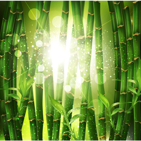web vector unique ui elements sun stylish quality original new nature light leaves interface illustrator high quality hi-res HD green graphic glowing fresh free download free forest flare EPS elements eco download detailed design creative bamboo forest bamboo background bamboo background 
