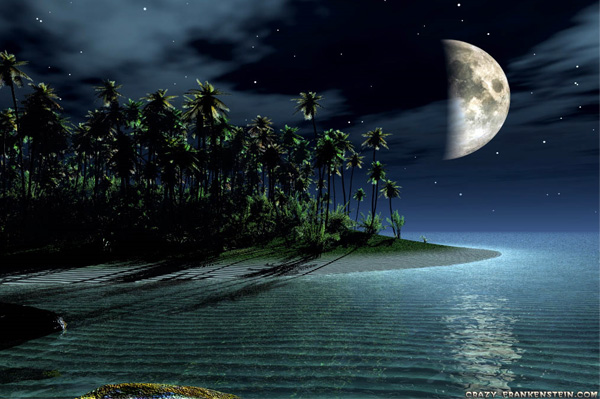 web water unique ui elements ui tropical stylish sea reflection quality psd palms original ocean new moonlight reflection moonlight moon modern interface hi-res HD fresh free download free elements download detailed design creative clean background 