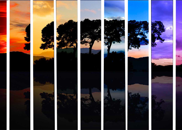 web unique ui elements ui tree silhouette tree sunset silhouette sunset stylish strips silhouette red quality purple psd original new modern interface hi-res HD fresh free download free elements download detailed design creative colorful clean blue background 