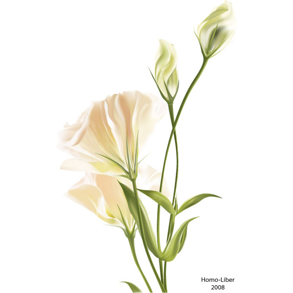 white flower web vector unique ui elements stylish spring quality plant original new leaves interface illustrator high quality hi-res HD green graphic fresh free download free flowers flower floral exotic elements download detailed design delicate creative card background AI 
