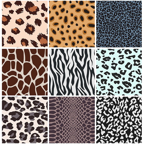 zebra vector tiger snake reptile print pattern free download free cheetah cat background animal print animal pattern 