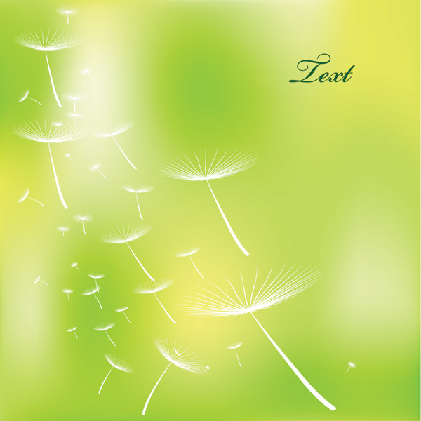 vector spring soft seeds green free download free dandelion blurred background 