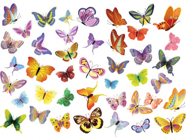 web Vectors vector graphic vector unique ultimate quality Photoshop pack original new modern illustrator illustration high quality fresh free vectors free download free download design decoration creative colorful butterfly butterflies AI 