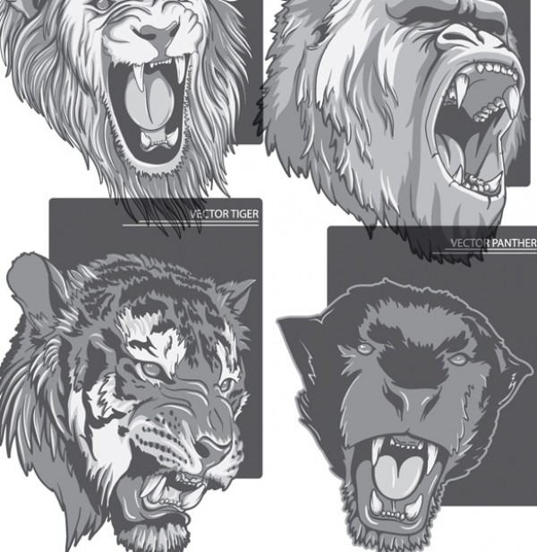 vector material tiger roaring psd Photoshop panther lion ilustrator gorilla free psd free downloads ferocious EPS coredraw beast animal AI 