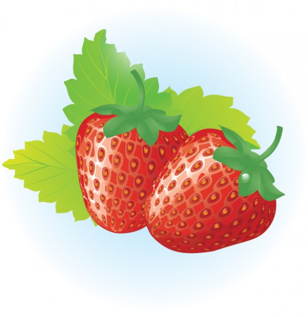 web Vectors vector graphic vector unique ultimate strawberry strawberries red quality Photoshop pack original new mouth watering modern juicy illustrator illustration high quality fresh free vectors free download free download design creative AI 