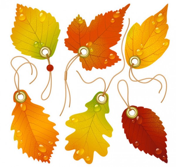 vector leaves vector texturized psd Photoshop maple leaf in detail high quality free downloads EPS bookmark beautiful autumn 