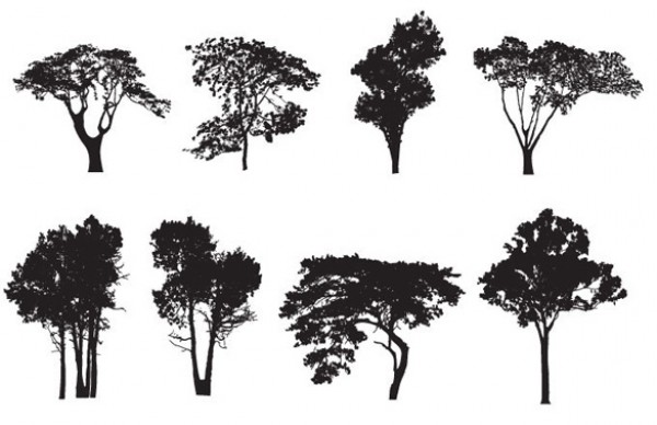 Vectors vector graphic vector unique ultra ultimate trees simple silhouettes quality Photoshop pack original new nature modern illustrator illustration high quality graphic fresh free vectors free download free forest eco download detailed creative clear clean AI 