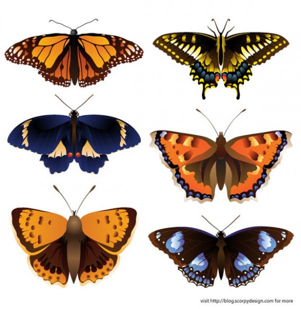 Vectors vector graphic vector unique ultra ultimate simple quality Photoshop pack original new nature modern intricate illustrator illustration high quality graphic fresh free vectors free download free download detailed creative colorful clear clean butterfly butterflies AI 
