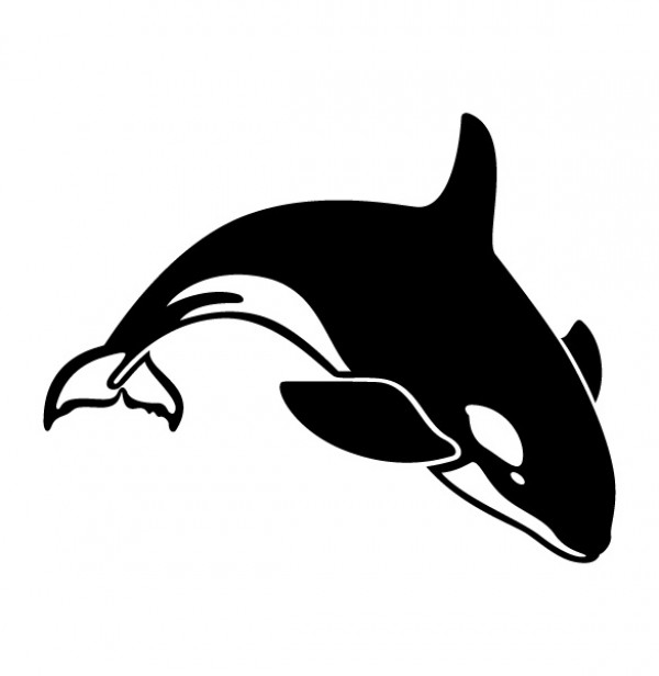 whale Vectors vector graphic vector unique quality Photoshop pack original orca modern killer whale illustrator illustration high quality fresh free vectors free download free download diving creative AI 