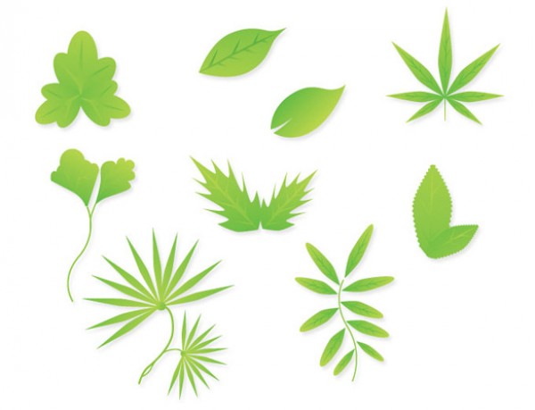 Vectors vector graphic vector unique ultra ultimate simple quality Photoshop pack original new modern leaves leaf illustrator illustration high quality green graphic fresh free vectors free download free EPS eco download detailed creative clear clean AI 