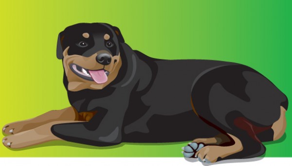 Vectors vector graphic vector unique rottweiler rottie quality Photoshop pack original modern illustrator illustration high quality fresh free vectors free download free download dog creative breed animal AI 