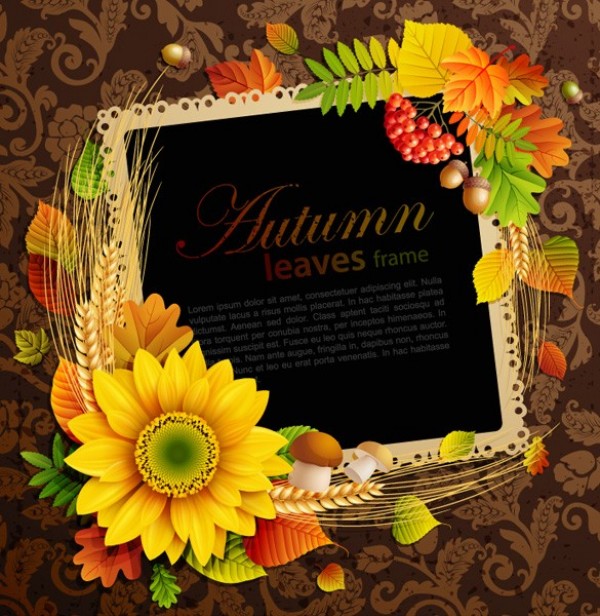 wheat web vector unique ultimate ui elements sunflower stylish quality pack original orange new nature modern leaves leaf interface illustration high quality high detail hi-res HD graphic fresh free download free frame flower Fall elements download detailed design creative colorful berries autumn acorns 